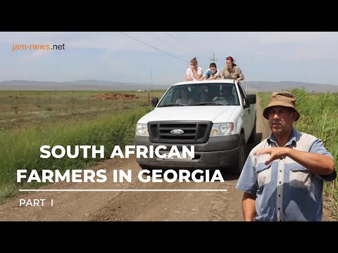 Vídeo: On es troba bokomo a Sud-àfrica?