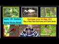 101 Eastern USA Bird Quiz with scorecard to print!  Increase your birding I.Q.!