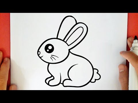 HOW TO DRAW A CUTE BUNNY