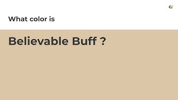 Believable Buff color #dbc7a8 hex color - Orange color - Cool color dbc7a8