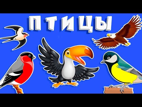Учим Птиц | Развивающие Мультики Для Детей Про Птиц