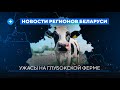 Деревни под водой / Нехватка маршруток / Необычная экскурсия по Гродно // Новости регионов Беларуси