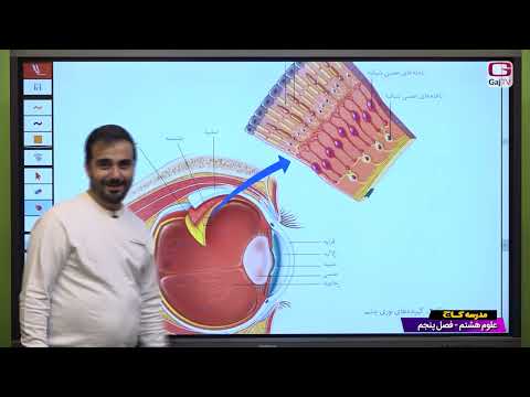 پایه هشتم علوم جلسه نهم