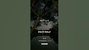 ﴿سورة الأنعام﴾بصوت القارئ محمد أيوب🎙️♥️