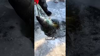 Ancient Ice Fishing Hack