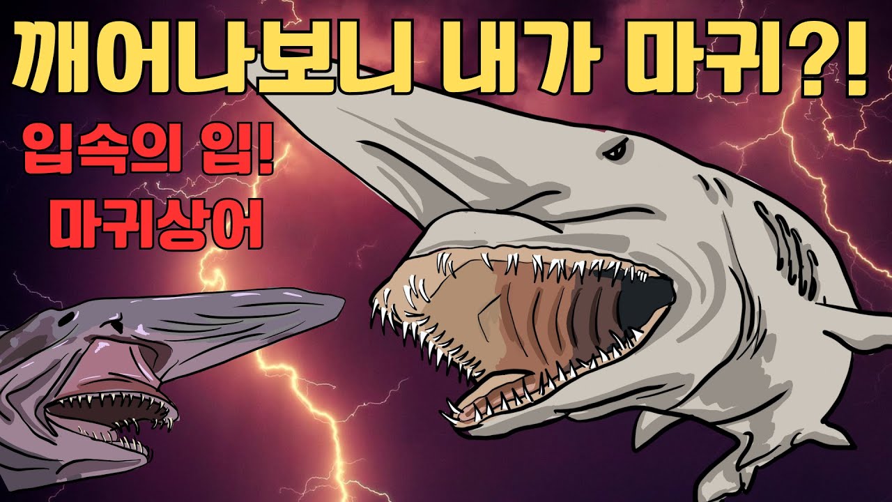 깨어났더니 심해괴물 마귀상어로 변해있었다! 보지않고도 먹이를 찾아내는 초능력의 소유자. 심지어 먹이를 잡을 때는 입속에서 입이 튀어나온다고?