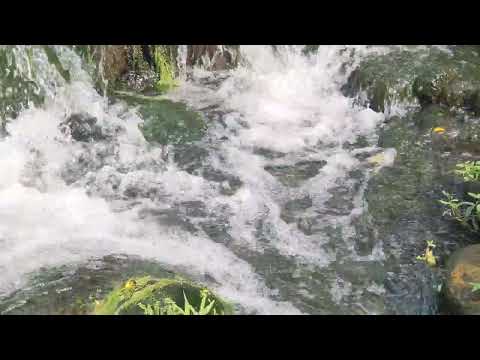 Forest Running Water,Very Relaxing Place.