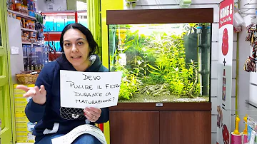 Come ci prova un Acquario?
