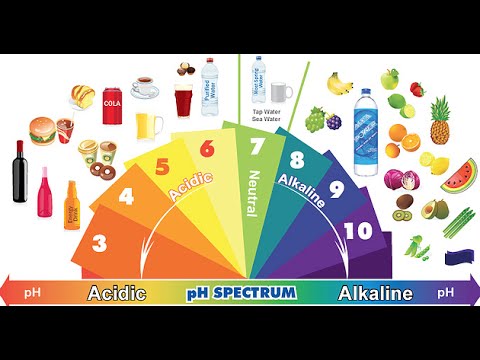 Acid V Alkaline Food Chart