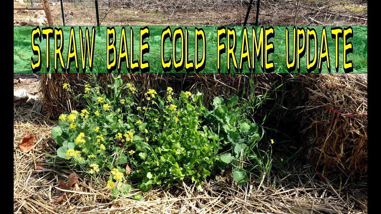 How to Make and Use a Straw Bale Cold Frame