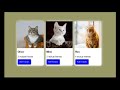 &quot;How to Create Card Layout with CSS and HTML&quot; #shorts #ytshorts