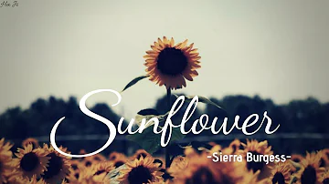 [Lyrics+Vietsub] Sunflower (OST Sierra Burgess Is A Loser)- Sierra Burgess