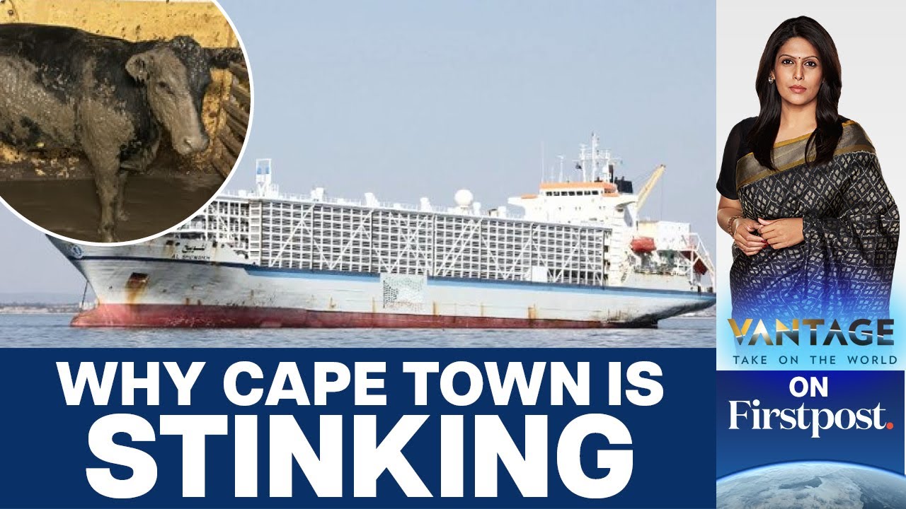 ⁣Ship with 19,000 Cattle Causes Stink in South Africa's Cape Town | Vantage with Palki Sharma