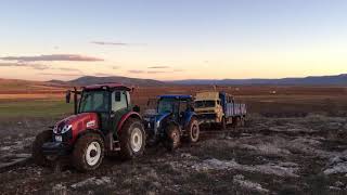 Başak 2090 Newholland Td 90