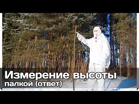 [РВ] Измерение высоты объектов палкой (ответ)