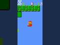 What Happens if the Flagpole is a Vine? #smb1 #smb #glitches
