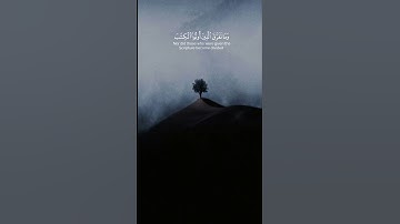 لَمْ يَكُنِ الَّذِينَ كَفَرُوا | سورة البينة | ابو بكر الشاطري | تلاوة جميلة | تلاوة هادئ