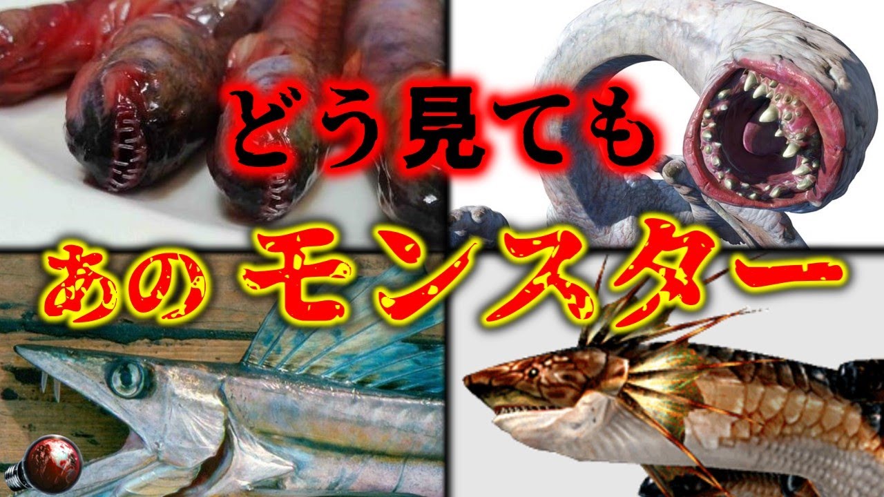 【閲覧注意】実在する、「モンハン」の世界にいそうな生物 5選【ゆっくり解説】【モンスターハンターライズ(MHRise)：サンブレイク特番生配信記念】