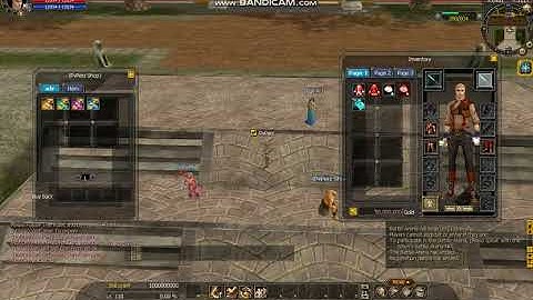 Server PvPerz - Nesro