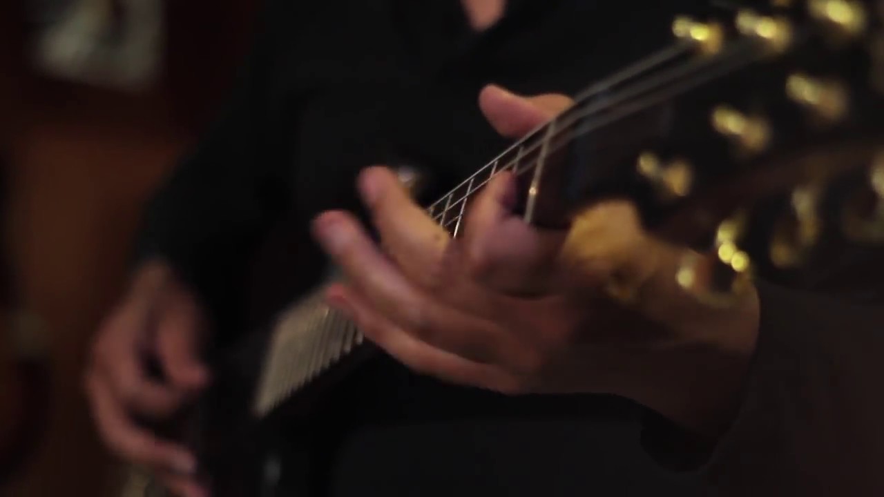 GUITARRA ELÉCTRICA PRV