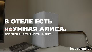 ВОЗМОЖНОСТИ применения неУМНОЙ АЛИСЫ в отельном бизнесе на примере Cosmos Stay