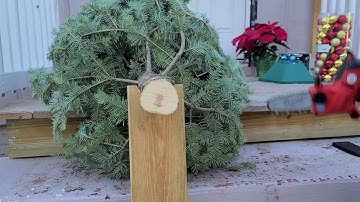 6" chainsaw vs 6" carbide pruning recip saw - HATCHET vs HACKZALL