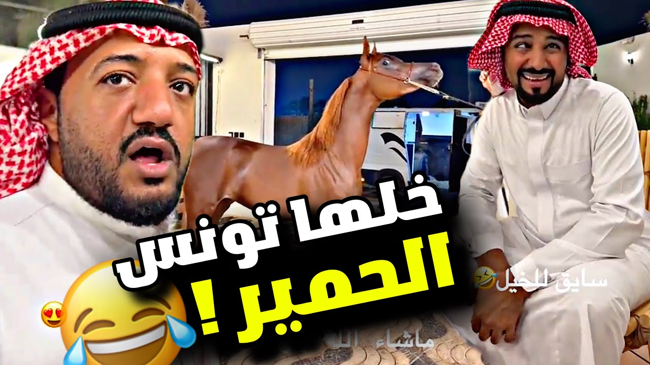 خلها تونس الحمير 🤣🤣🤣 | سنابات مرتضو السلمان