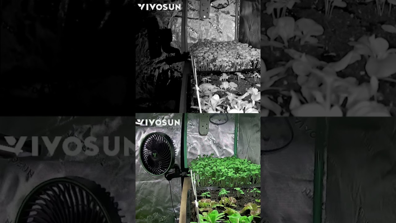 Stay with your plants 24/7, anywhere in the world. Check this out!