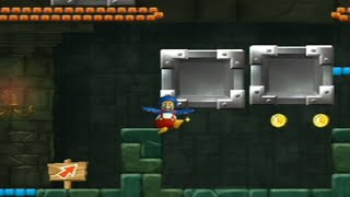 カニを殺す 死んだら即終了Wiiマリオブラザーズ　３４日目　2025/05/29