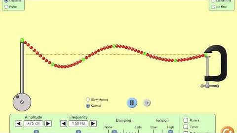Waves on a String from PhET