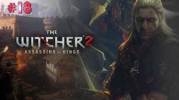 The Witcher 2 Assassin