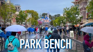 Park Bench: Disneyland in the Rain