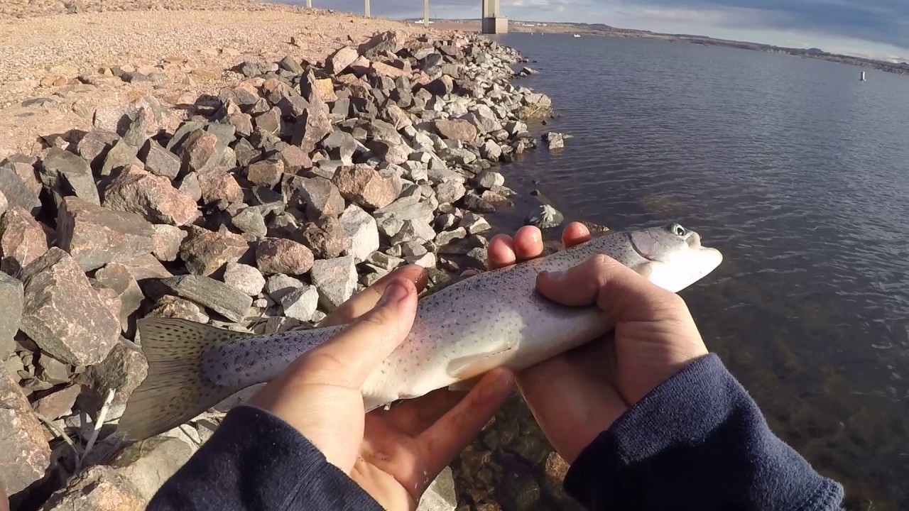 Trout Fishing in Denver!!! YouTube