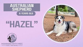 Australian Shepherd / Dog Training / Obedience