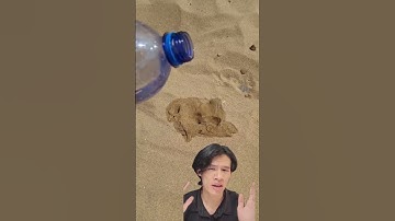 Con vật dưới lớp cát nóng | khanhtrungsi