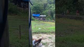 Part 2 Pencair Suasa Alek tanahsirahgalogandangpunya                      parentensumbar