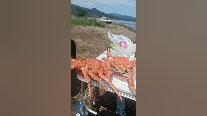 варёные крабы, пиво и берег моря, вот  так отдыхают мужики на дальнем востоке! #Shorts.