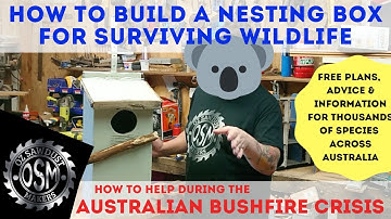 How to build nesting box for Australian wildlife - DIY bird house for bushfire affected animals