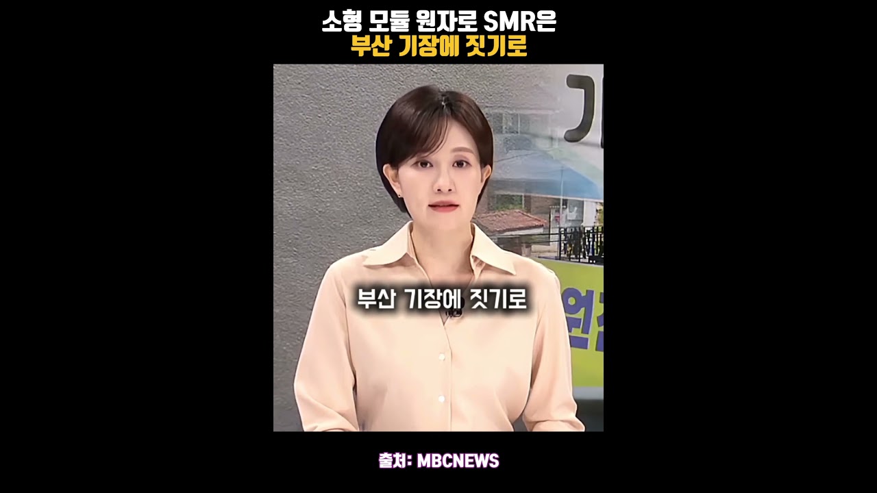 소형 모듈 원자로 SMR은 부산 기장에 짓기로