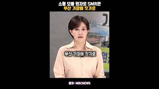 소형 모듈 원자로 SMR은 부산 기장에 짓기로