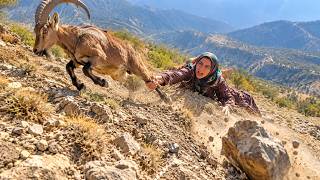 😱 Mahrokh’s Exciting Encounter with Mountain Goats on Dangerous Cliffs