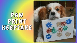 🎨🐾 DIY Paw Print Painting Adorable Keepsake! 🐾🎨Learn How to Make a Homemade Paw Print Painting