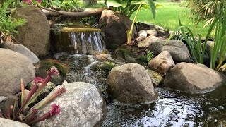 Install This, For Easier Pond Maintenance | The Barefooted Gardener
