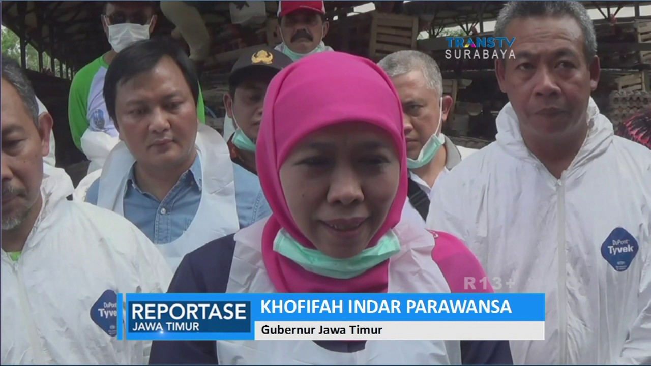 Telur Ayam Di Jatim Aman Dikonsumsi