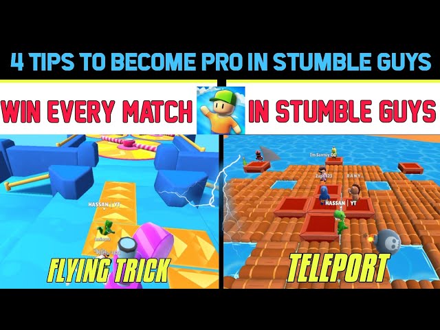 Can make you a stumble guys pro in 1 hour by Kikopoe