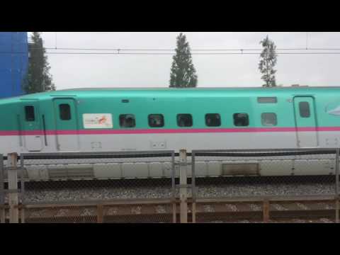 台風の中走る 埼京線 @戸田駅  ハエ28、東臨、つばさ等