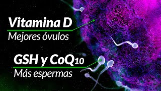 Vitaminas, suplementos y tips de fertilidad [Mejorar éxitos de la FIV o fecundación in vitro]