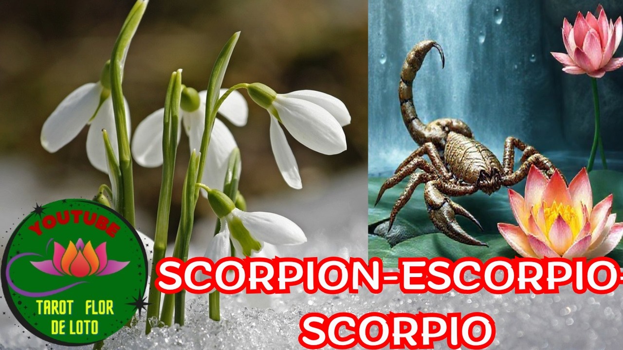 SCORPION♏1-8 MARTIE 2026💕🌷🌤️ȘANSA CARE VINE CU LECTII KARMICE💕🌷🌤️
