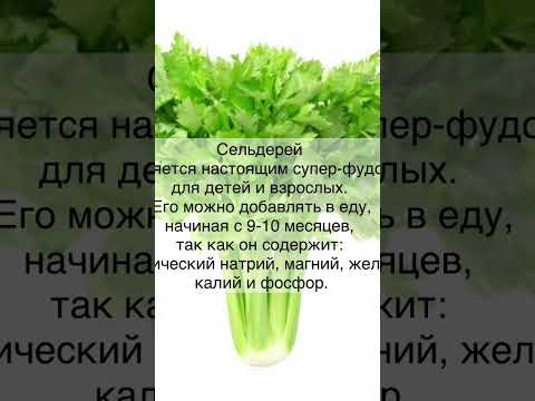 Какую зелень полезно