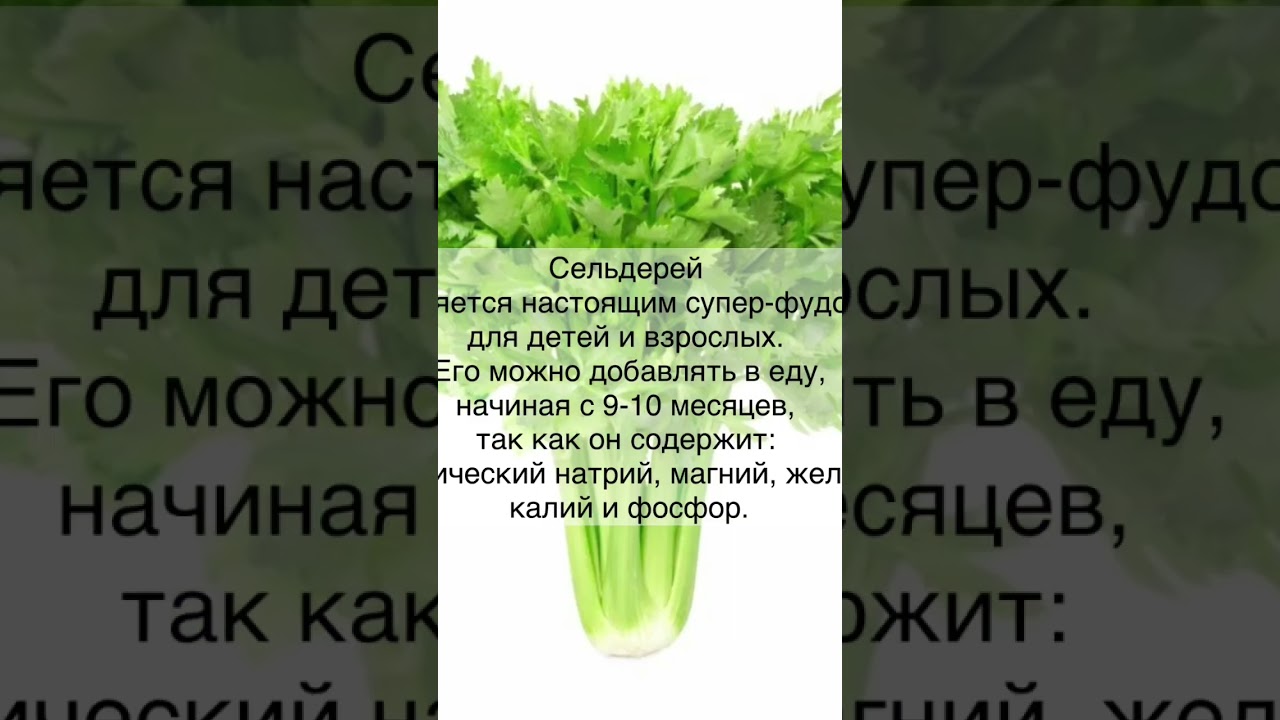 Какую зелень полезно давать детям?